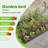 Churdan Metal Raised Garden Bed-1846690629-1846690628