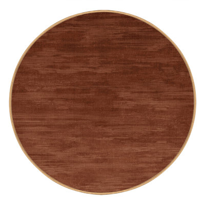 Machine Washable Abstract Brown Area Rug