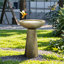 Bains d'oiseaux | Bain d'oiseaux sur piédestal moderne 24 po H gris ardoise pour patio de jardin | Ciment en béton | Bain d'oiseaux sur piédestal