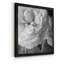 Renoncule foncé II - cadre photo-997390532-997390533-997338826