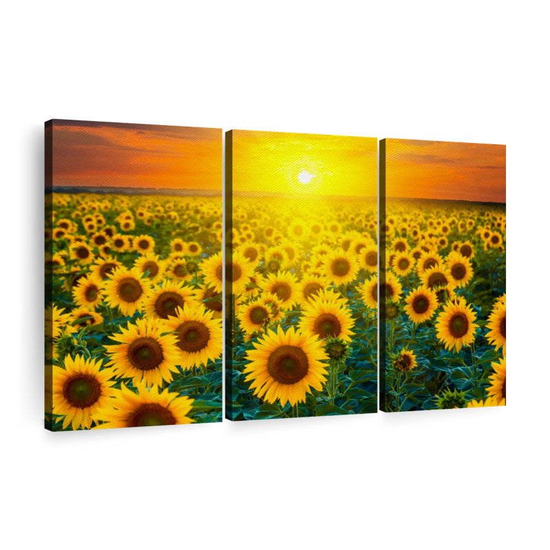 "Coucher de soleil avec tournesols" 3 pièces, H 36 po x l 57 po