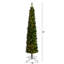 Lighted Artificial Pine Christmas Tree-2102225396