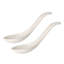 Soup Passion Asia Soup Spoon