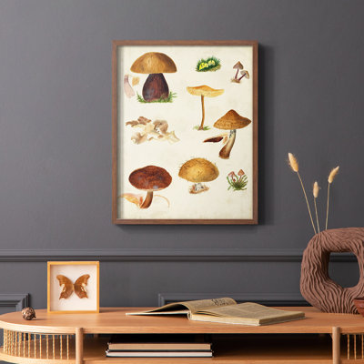 Mushroom Species II Framed Print - Solid Wood