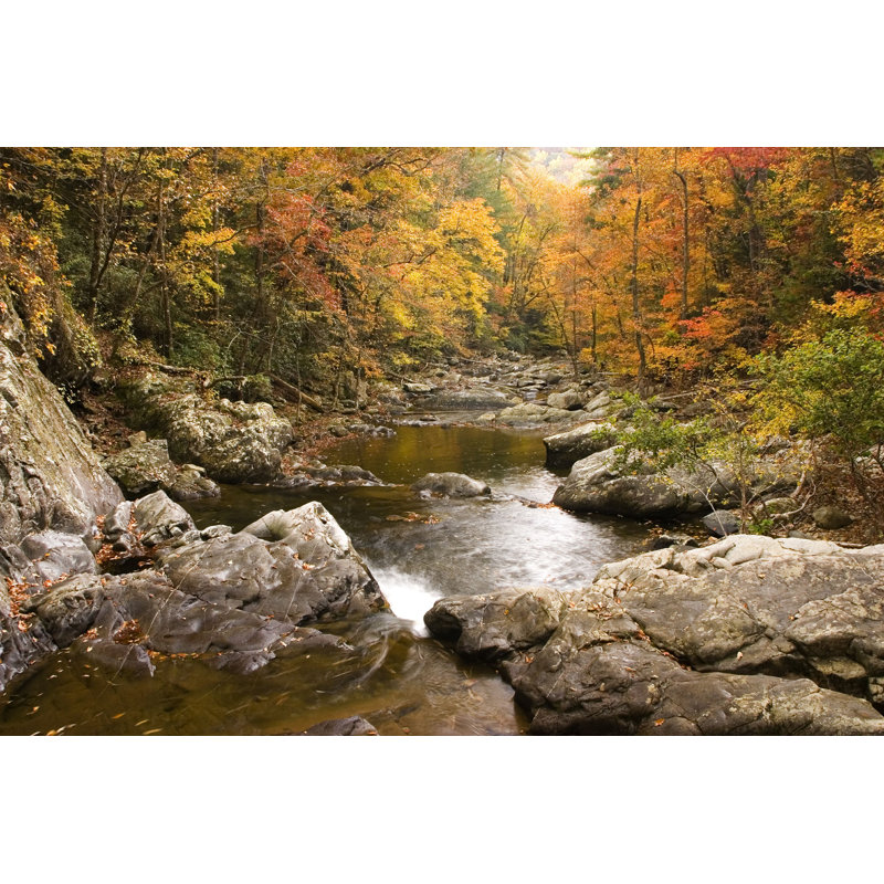 Fall Creek - photographie sur toile tendue, L 36 po x H 24 po
