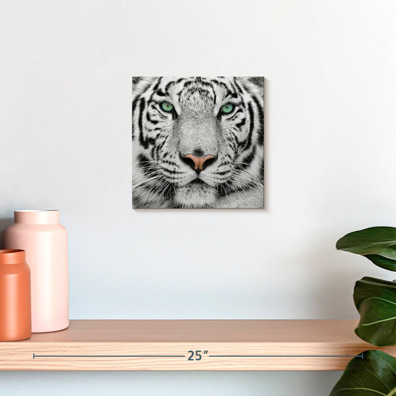 Brampt Green-Eyed White Tiger, 10" H x 10" W