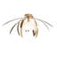 Dahlia 2 - Light Semi Flush Mount-57281956