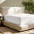 Antique White