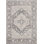 Oriental Indoor Rug