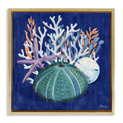Monterey Urchin & Coral Framed Floater Canvas Wall Art by Paul Brent