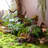 23.6 " H Faux Fern Plant