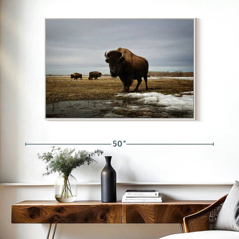 Bison Cloud Day, Cadre flottant blanc, 40 po x 27 po