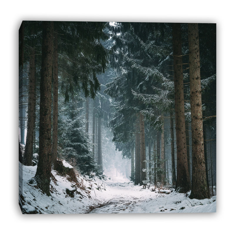 Art mural sur toile Frosted Evergreen Trail, 40 po x 40 po