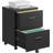 Ebern Designs 2 Drawer Mobile Filing Cabinet with Wheels, Wood File Cabinet for Home Office, Lockable Rolling File Cabinet Fits Letter/Legal Size, Printer Stand with Storage-1188909990
