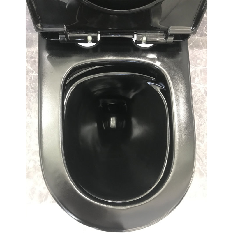 Dual-Flush Elongated One-Piece Black Toilet (Seat Included)