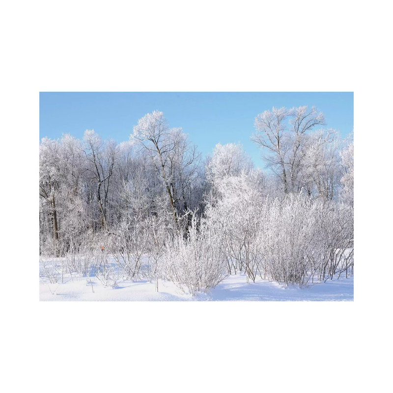 Hoar Frost by Brian Wolf - Wrapped Canvas Print, 30.48cm H x 45.72cm W x 1.91cm D