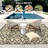 Outdoor Rug Reversible Plastic Straw Rug RV Mat, Indoor Outdoor Carpet for Patio, Camping, Balcony, Deck, Backyard-804471626
