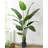 83'' Faux Banana Tree in Pot