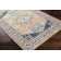 Aldusa Oriental Indoor Rug