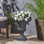 Urne Delphine-1654181191