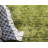 Roshaun Indoor Rug-1229882708