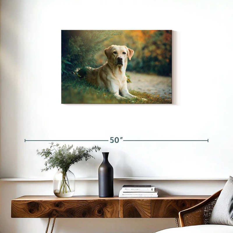 Brampt Labrador Retriever Mix, 20" H x 30" W