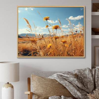 Coucher de soleil, fleurs d'été, prés