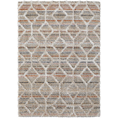 Caide Bohemian & Eclectic Diamond Polyester Area Rug