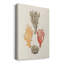 Knorr Shells & Coral IV sur impression sur toile-1526113381