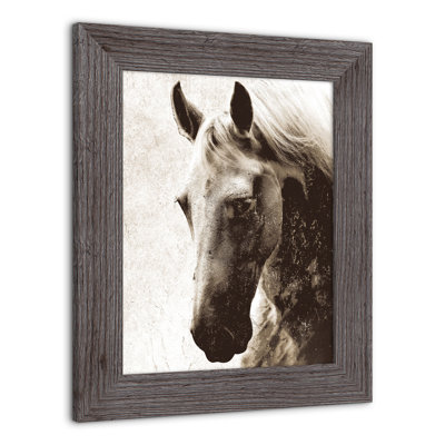 Cheval sépia, reproduction encadrée