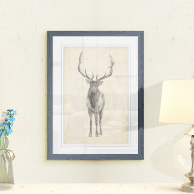 " 'Elk Study' " by Paul Cezanne