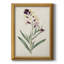 Toile encadrée de qualité supérieure Antique Botanical Collection VII - prête à être accrochée-561069305