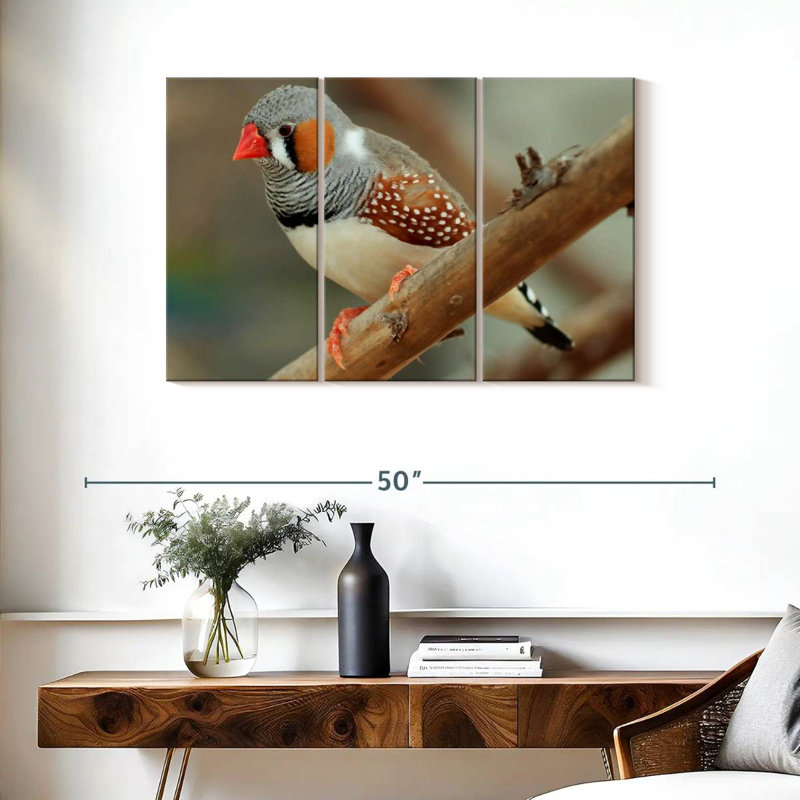 Brampt Zebra Finch On A Branch, 24" H x 38" W