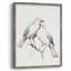 «Vintage Animal Print II», reproduction encadrée - bois massif-575251861