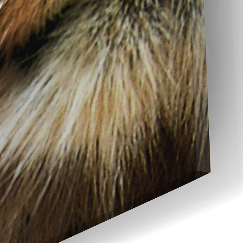 " Majestic Dominance " by SD Smart, 24" H x 16" W x 0.2" D