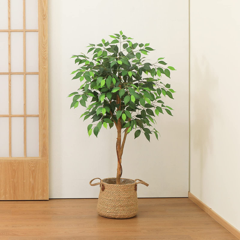 Annaliisa Faux Tree, 120cm H x 15.5cm W x 15.5cm D