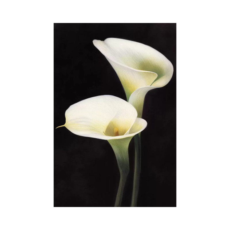 Calle 1 Piece Wrapped Canvas Wall Art, 30.48cm H x 20.32cm W
