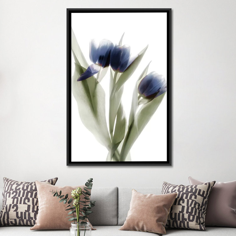 X-Ray Tulip IX par Judy Stalus - reproduction sur toile, Toile avec cadre noir, H 48 po x l 32 po x P 1,5 po