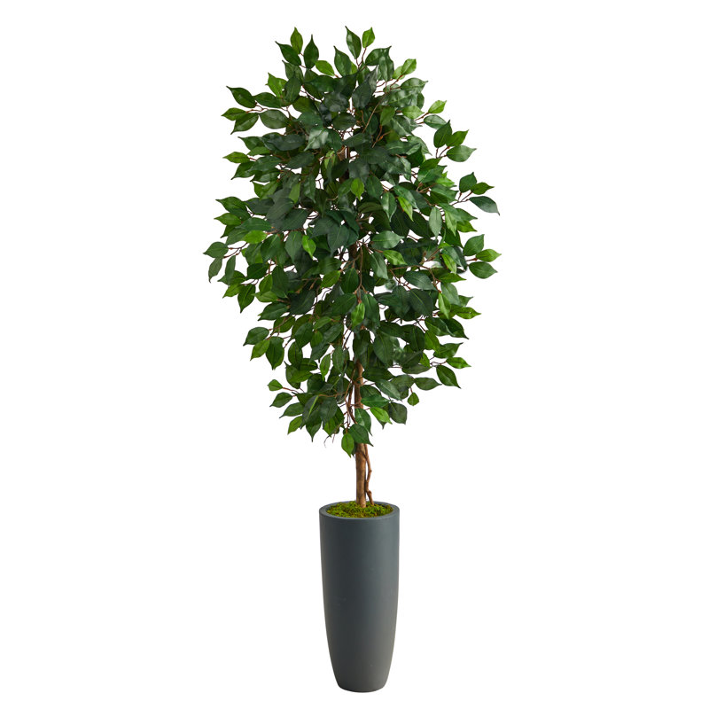 60'' Faux Ficus Tree in Clay Planter