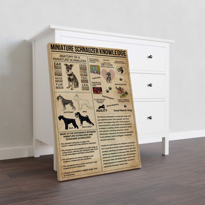 Toile tendue miniature Schnauzer