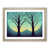 Oak Framed