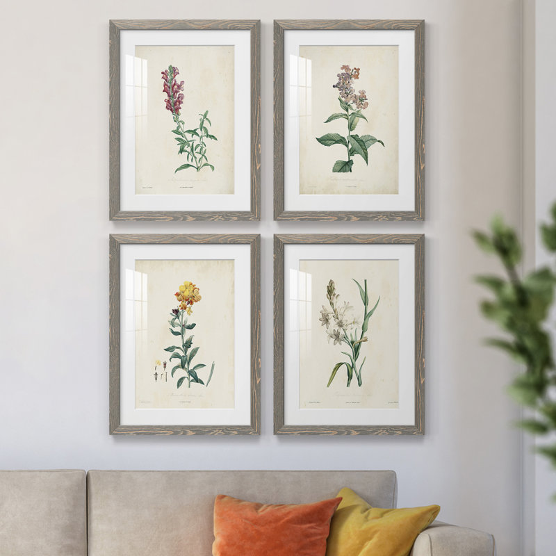 Traditional Botanical I - Ensemble de 4 peintures encadrées, Encadré gris, H 20 po x l 68 po x P 1,5 po