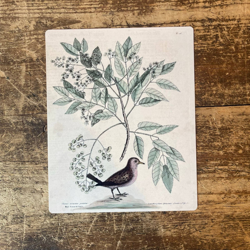 Wall Decor on Metal, 20cm H x 15cm W