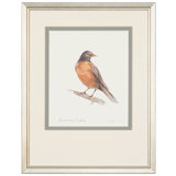 American Robin Print