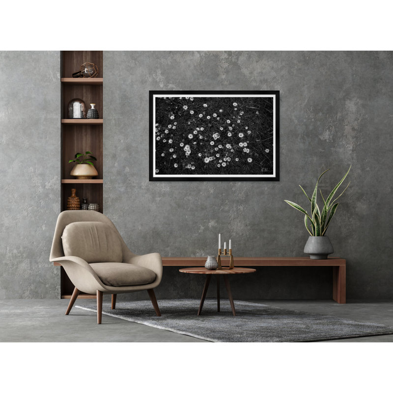 Fields Of White Flowers Print by Tim Klein