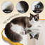 Miroir mural ovale-245446264-245446265