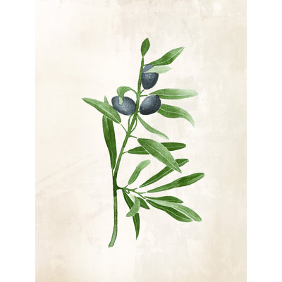 " Olive Branch With Black Olives "