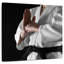 Sirate Karate Salute