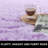 Ingerson Indoor Rug-379172612