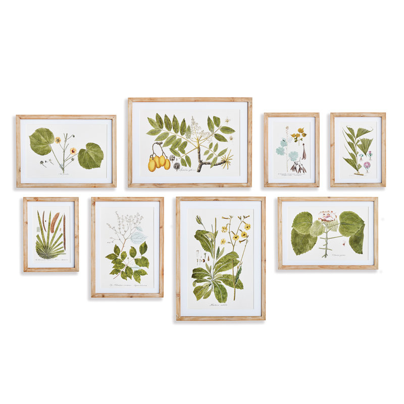 «Flora And Fauna», impressions de galerie